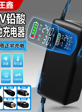 24伏防水电动车铅酸电池充电器24V12AH20AH32安轮椅玩具小海豚车