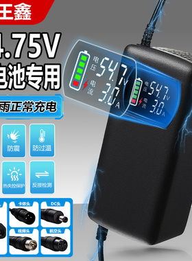 锂电池电动电瓶车快充充电器54.75V3A5A8A10A磷酸铁锂15串代驾车