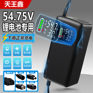 防水锂电池电动电瓶车充电器54.75V3A5A8A10A15A磷酸铁锂15串快充