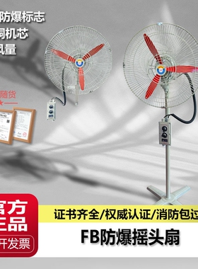 防爆摇头扇壁扇FB/BTS-500落地60220V0排风扇750工业电风扇牛角扇