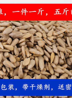 新货精选生油磕籽仁油嗑无壳 鹦鹉无壳鸟粮粒大饱满生的500克