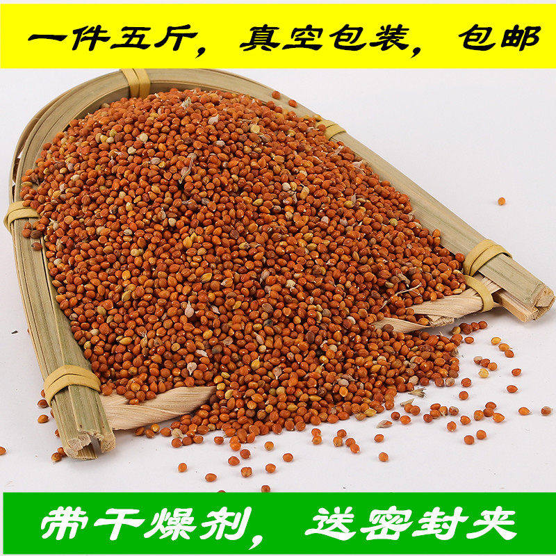 东北红谷子带壳粟子观赏鸟主粮干净无杂质带壳小米鸟粮食五斤链接