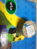 补充微量元 比利时凡赛尔碘钙块 补钙补碘助消化 鹦鹉啄石 素 小号