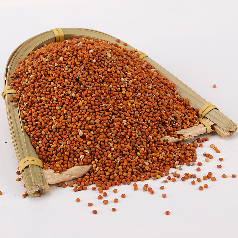 闭门养鸟鸟食薄利多销