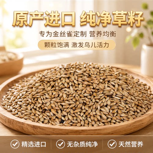加纳利子金丝雀草籽鸟粮包邮