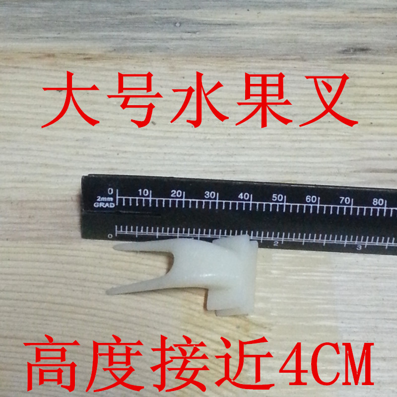 水果叉鹦鹉闭门养鸟价格合理