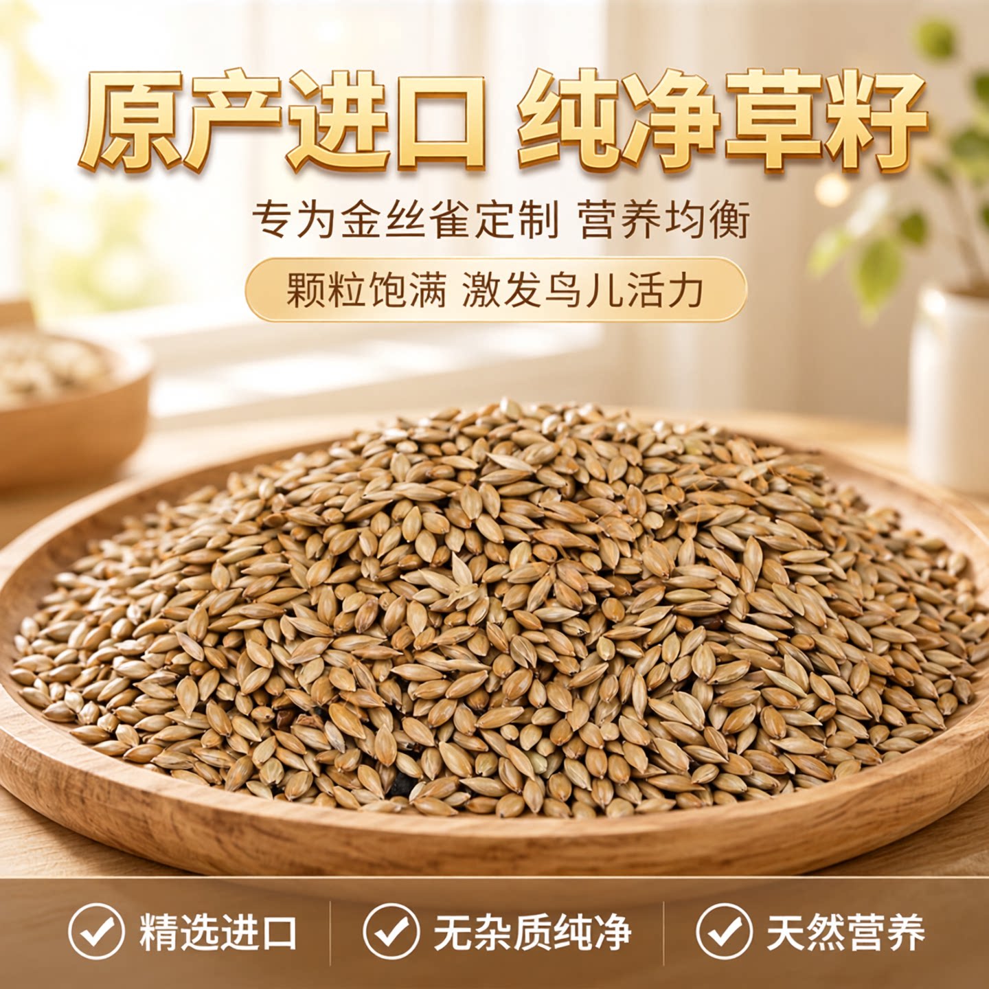 进口加纳利子金丝雀草籽白尖进口草籽鸟粮鸟食真空包装五斤装包邮