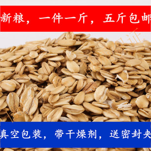 中型鹦鹉鸟粮 促消化龙猫松鼠仓鼠鸟粮 燕麦片500克 蛋白质氨基酸