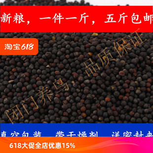 油菜籽牡丹虎皮鸟食鹦鹉饲料1斤五斤全国包邮东北鸟粮鹦鹉油料