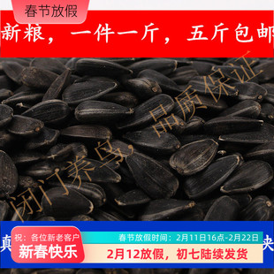 生黑珍珠小瓜子油磕籽鹦鹉鸟食饲料仓鼠零食鸟粮鸽粮5斤包邮