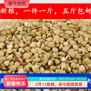 无壳荞麦荞麦米荞麦仁五斤包邮鹦鹉饲料鹦鹉饲料无壳鸟食饲料500G