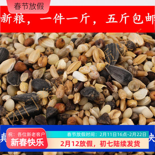 精品鹦鹉鸟粮亚历金太小太迷你凯克贾丁等中型鹦鹉混合粮五斤包邮