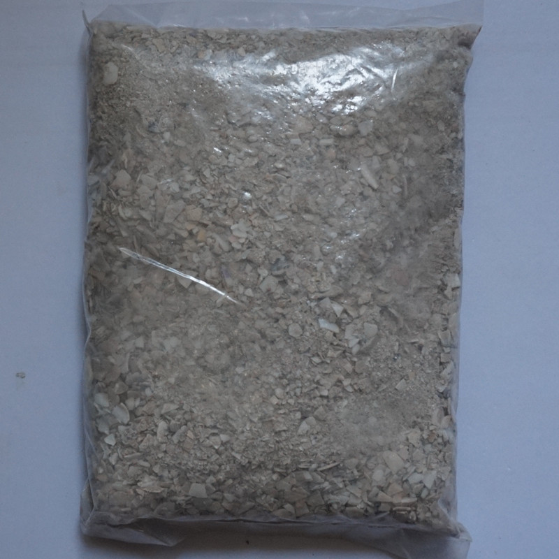 鹦鹉闭门养鸟价格合理