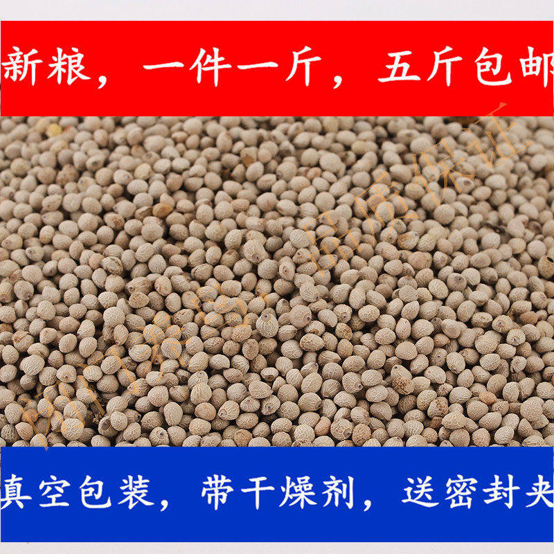 苏子白苏子紫苏灰虎皮鸟鹦鹉鹦鹉食鹦鹉营养苏子500G包邮东北特产