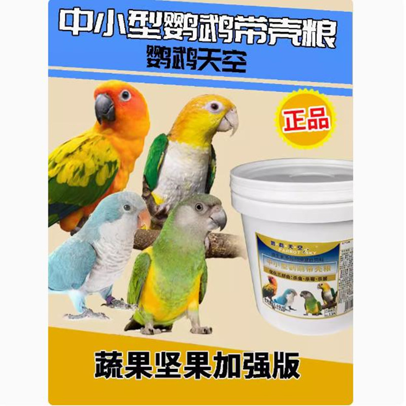 鹦鹉天空鹦鹉价格合理