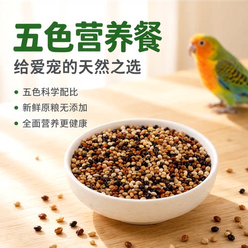 黑白红黄糜子混合鹦鹉鸟粮新粮