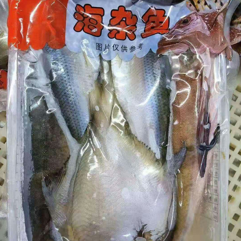 海杂鱼野生鲫鱼辫子鱼鲳鱼小黄花比目鱼/多宝鱼/鸦片