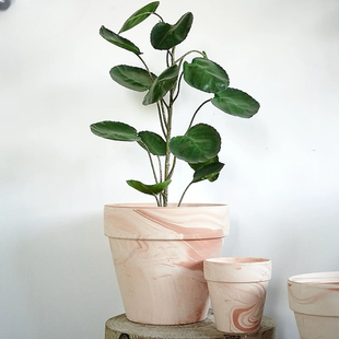 沐子哥Ty玛奇朵红陶素烧透气ins高颜值天然陶土透气吸帝罗马陶盆