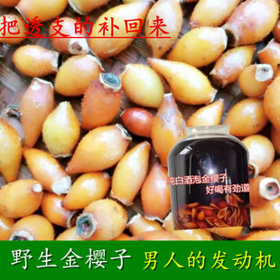现摘湖南怀化金樱子新鲜野生全红果刺梨子干货男性泡酒中药材现发