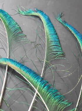 孔雀毛孔雀边毛孔雀翎DIY配件客厅装饰羽毛家居装饰羽毛饰品原料