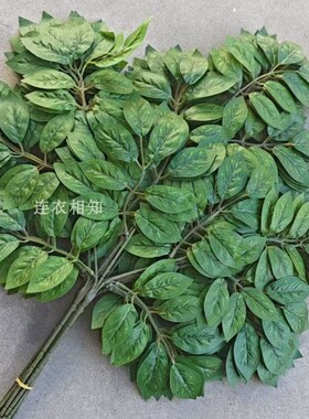 仿真茶树叶树枝榉树叶菩提叶香樟树叶绿叶子假桑叶桃树叶榕树枝叶