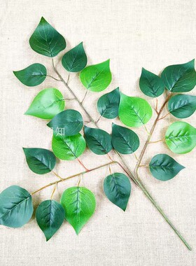 仿真苹果叶工程装饰人造树枝绿植园林绿化假树叶仿真玉兰叶芒果叶