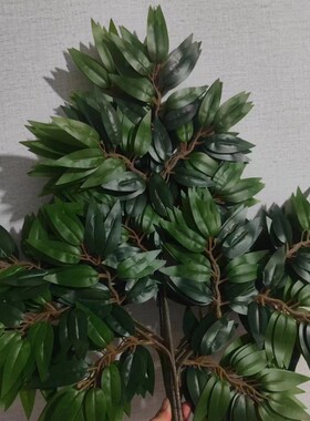 仿真槐树叶榆树叶园林装饰树叶假槐树叶假树枝桑叶紫薇叶绿叶子