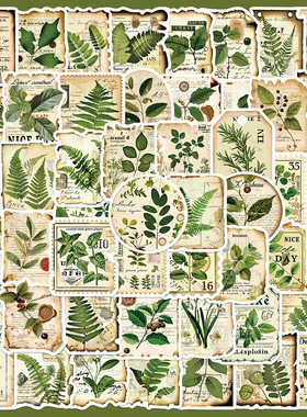 50张植物园标签碎片贴纸手账透明手机壳DIY装饰行李箱笔记本贴画