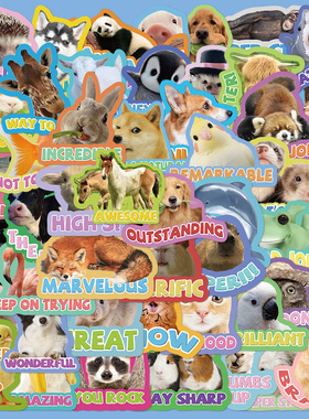 50张教师动物奖励贴纸手账手机壳透明DIY装饰行李箱笔记本贴画