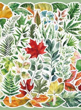 50张简约清新一树一叶贴纸手账本透明手机壳DIY充电宝装饰贴画