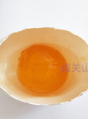 生的咸鹅蛋不是很咸熟的现煮包邮