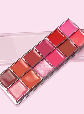 Colour Lipstick Palette Velvet Matte Matte Moisture Moisturi