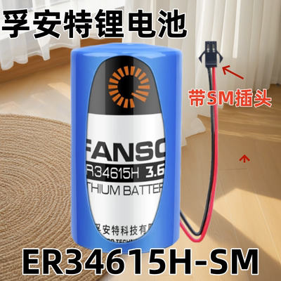 孚安特ER34615H智能水表电池3.6V流量计表GPS定位器锂电池1号D型