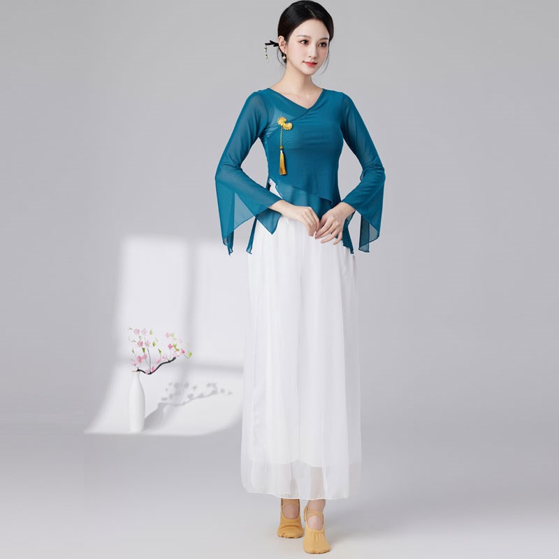 新选新款2025古典舞身s韵飘逸纱衣演出服女民族风仙女练功服舞蹈