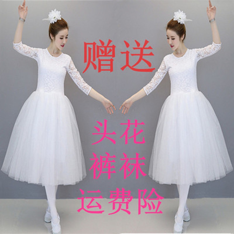 新选芭蕾c舞裙成人女儿童芭蕾练功服半袖舞蹈网纱裙小天鹅蓬蓬裙