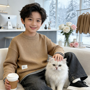 度度猫男童圆领毛衣2025秋冬装新款长袖打底上衣休闲百搭针织衫