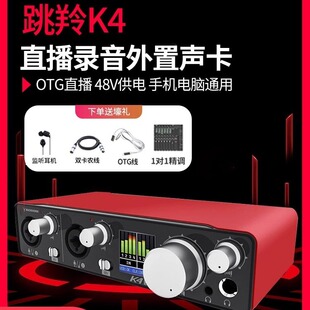 Buckhorn 跳羚k4USB外置声卡抖音主播YY唱歌无线电脑手机直播录音