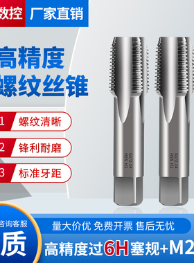 高精度直槽6H管螺纹丝锥H2高精度可过6H塞规耐磨耐用G1/8/4/3/8/1
