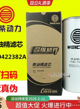 1000422382A柴油格精滤芯适配解放德龙潍柴WP10/P12 612630080087