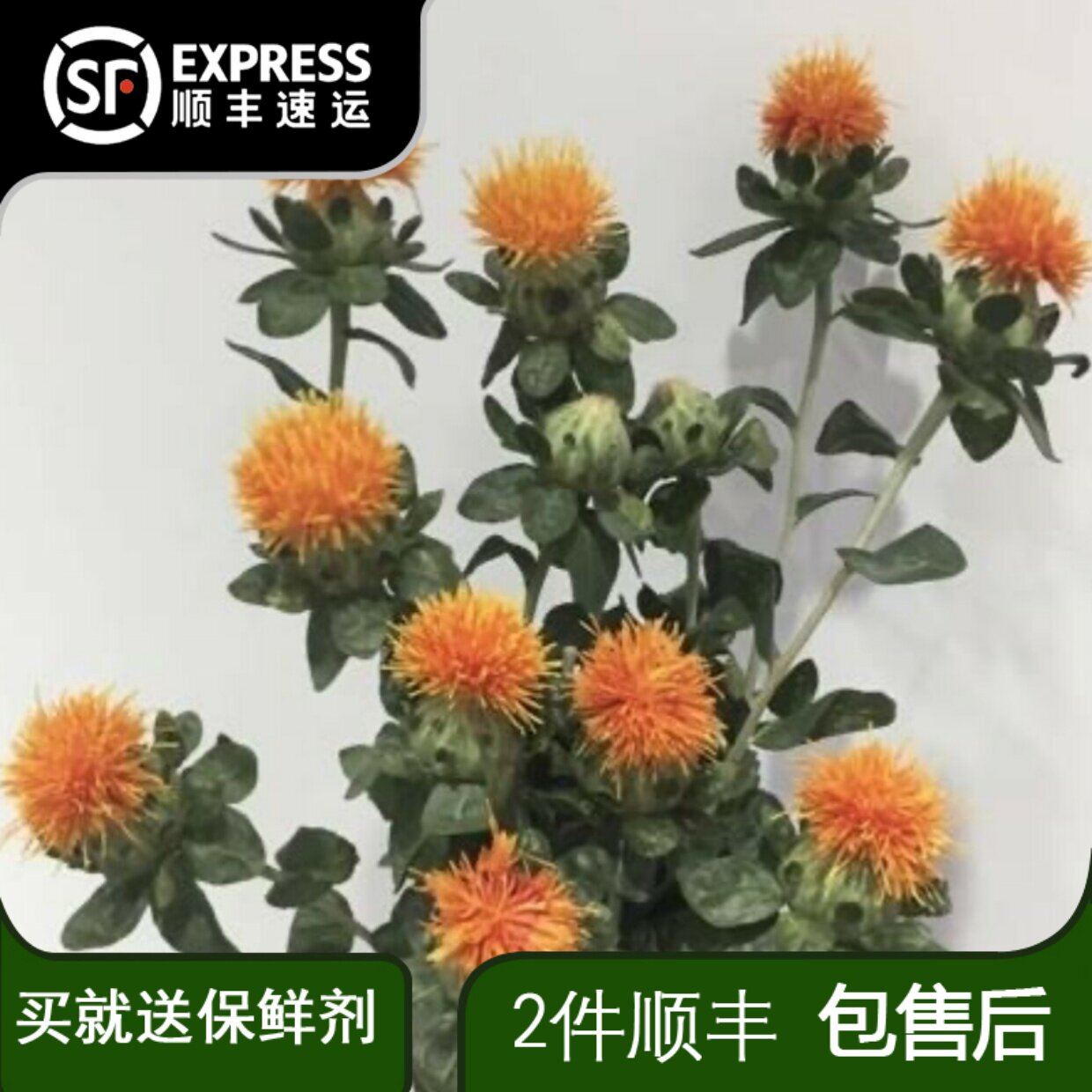 橙菠萝鲜花水培菠萝菊家用客厅鲜花云南基地直发小众花材可做干花