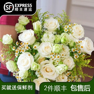 10支黄英 10支洋甘菊 白玫瑰混搭花束 400克绿桔梗 10支白玫瑰