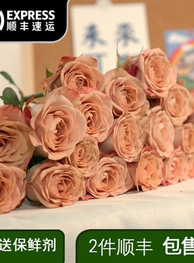 云南昆明鲜花基地直发卡布奇诺高原红玫瑰斗南家庭水养鲜切花