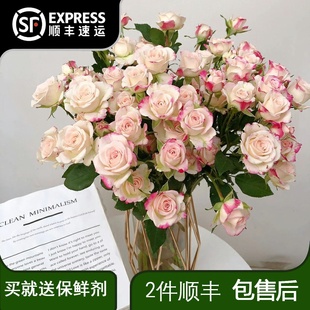 10支折射泡泡玫瑰夏日清凉玫瑰办公室鲜切花鲜花云南直发昆明基地