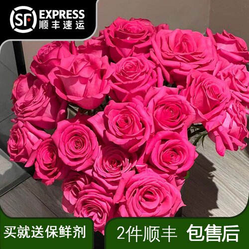 玫瑰鲜花弗洛伊德云南昆明斗南