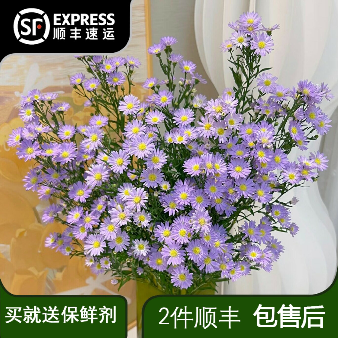 紫苑小菊浅紫色鲜花鲜切花家用插花水培真花小众花材云南基地直发