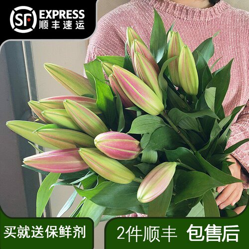 百合鲜花云南基地向日葵