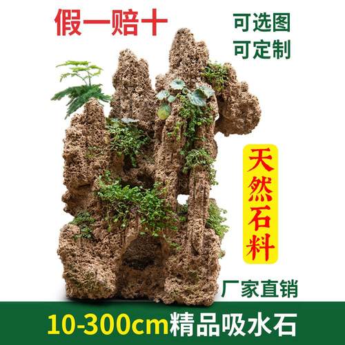 天然假山摆件中大型微景观吸水石