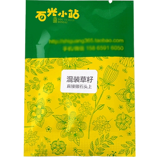 上水石花草吸水石盆景植物树微景观假山上种的造景草籽珍珠草种子