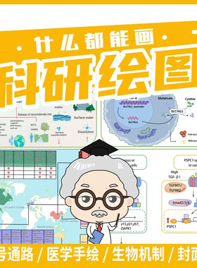 流程示意通路图机理机制图科研绘图技术路线图框架架构医学图作图