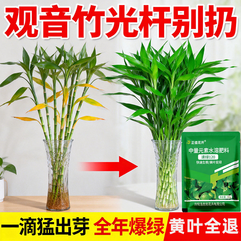 浓缩营养液通用型养花肥料绿植花卉盆栽发财树富贵竹,鲜花速递/花卉仿真/绿植园艺,家庭园艺肥料,淘宝优惠券,粉丝福利购,淘宝优惠卷